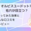 オルビスユードットで毛穴が目立つ？